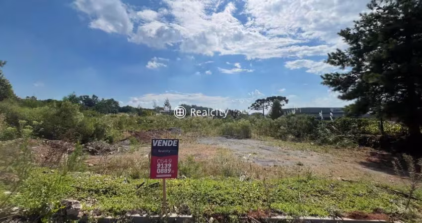Terreno comercial à venda na Domingos de Marchi, 2, Garibaldina, Garibaldi
