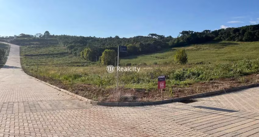 Terreno à venda na Das Videiras, 27, Garibaldina, Garibaldi