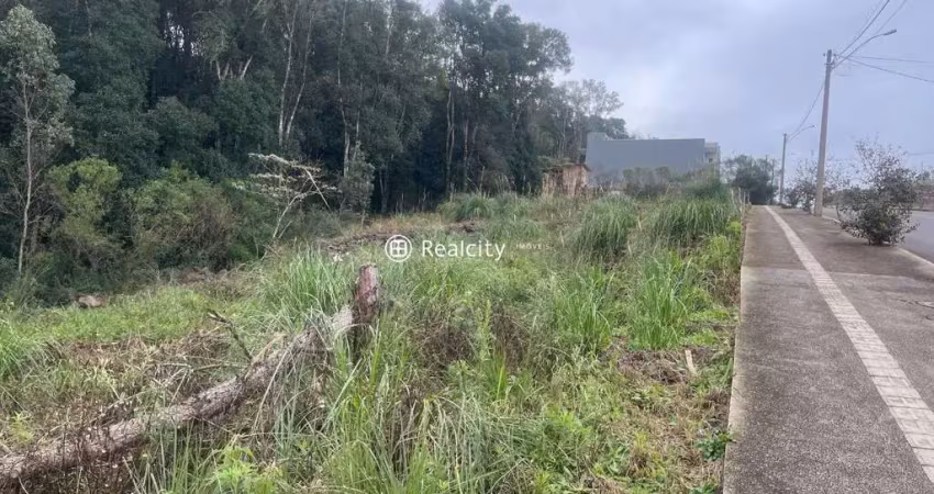 Terreno à venda na Bramante Mion, 800, Universitário, Bento Gonçalves