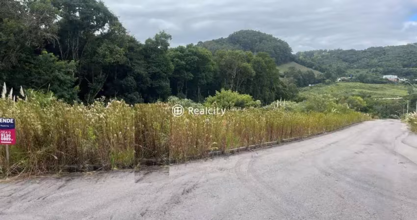Terreno à venda na ERS-444, 19, Barracão, Bento Gonçalves
