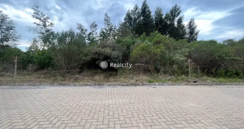 Terreno à venda na Linha São Roque Figueira De Melo, 86, Alfândega, Garibaldi