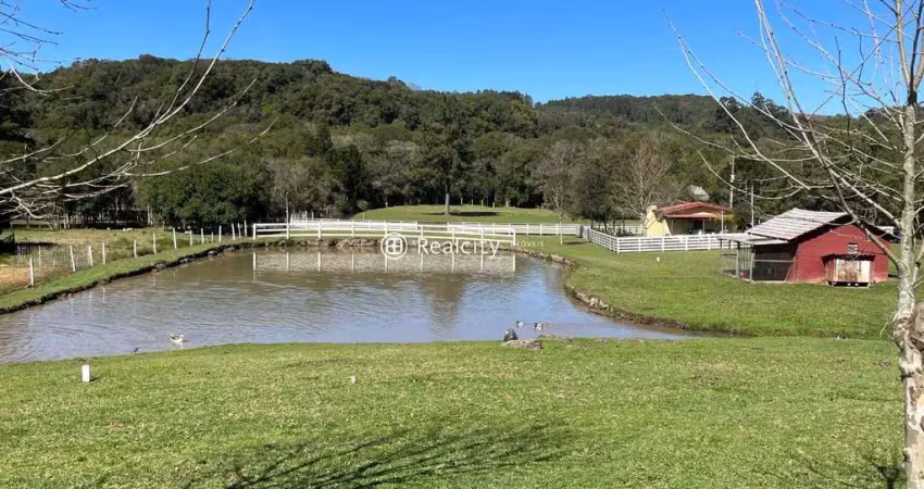 Terreno à venda na Km 9, 3, São Pedro, Bento Gonçalves