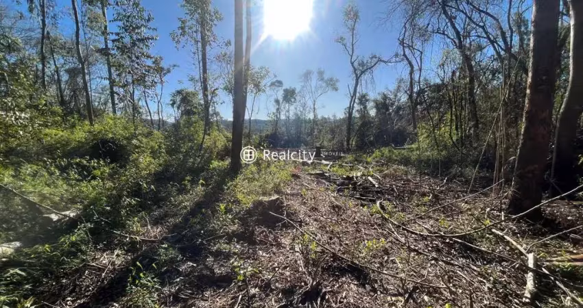 Terreno à venda na Barracão, 1, Barracão, Bento Gonçalves