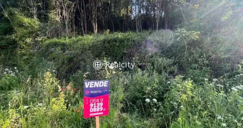 Terreno à venda na Joaquim Toniollo, 55, Caminho da Eulália, Bento Gonçalves