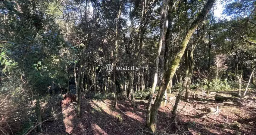 Terreno em condomínio fechado à venda na da Uva e do Vinho, 1, Vale dos Vinhedos (Distrito), Bento Gonçalves
