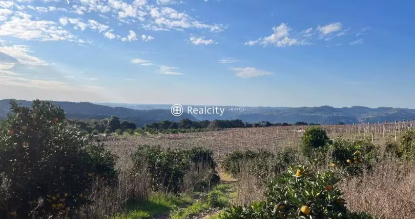 Terreno à venda na Linha Leopoldina, 7, Vale dos Vinhedos (Distrito), Bento Gonçalves