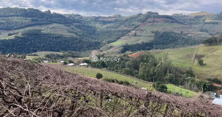 Terreno à venda na Linha Fernandes Lima, 12, Faria Lemos (Distrito), Bento Gonçalves