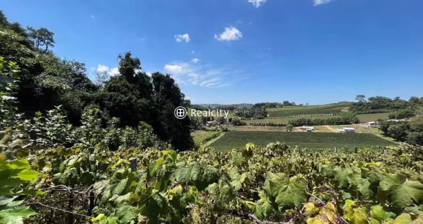 Terreno à venda na Rs 444, 1, Vale dos Vinhedos (Distrito), Bento Gonçalves
