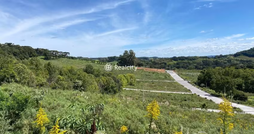 Terreno à venda na Das Videiras, 33, Garibaldina, Garibaldi