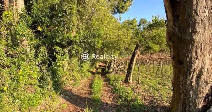 Terreno à venda na Linha Santa Lucia, 5, Vale dos Vinhedos (Distrito), Bento Gonçalves