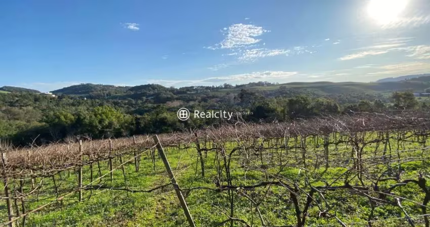 Terreno à venda na Linha Santa Lucia, 4, Vale dos Vinhedos (Distrito), Bento Gonçalves