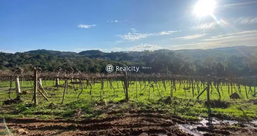 Terreno à venda na Linha Santa Lucia, 3, Vale dos Vinhedos (Distrito), Bento Gonçalves