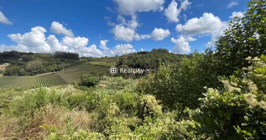 Terreno em condomínio fechado à venda na Estrada Geral, 1, Vale dos Vinhedos (Distrito), Bento Gonçalves
