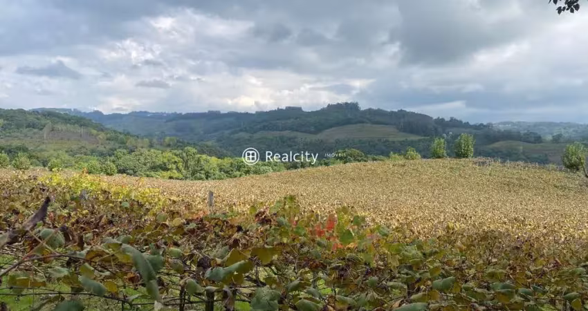 Terreno à venda na Linha Armenio, 8, Zona Rural, Monte Belo do Sul