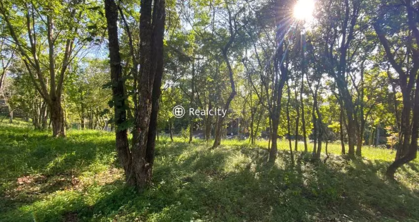 Terreno em condomínio fechado à venda na 444, 17, Vale dos Vinhedos (Distrito), Bento Gonçalves
