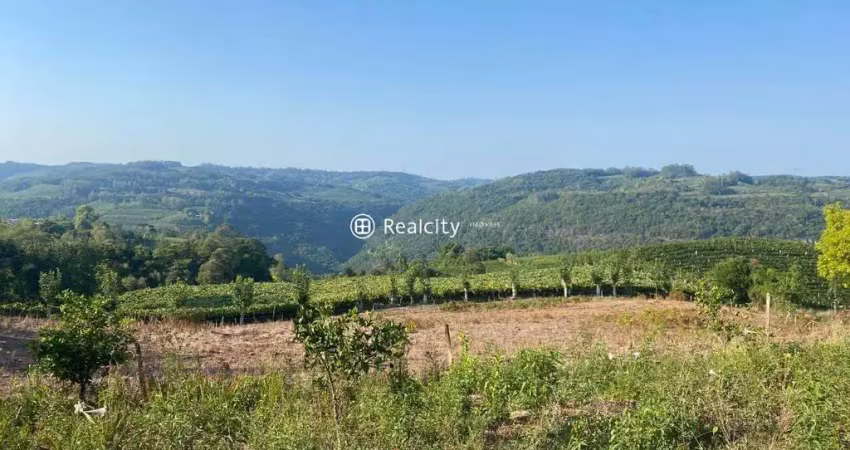 Terreno à venda na Linha Armenio, 7, Zona Rural, Monte Belo do Sul