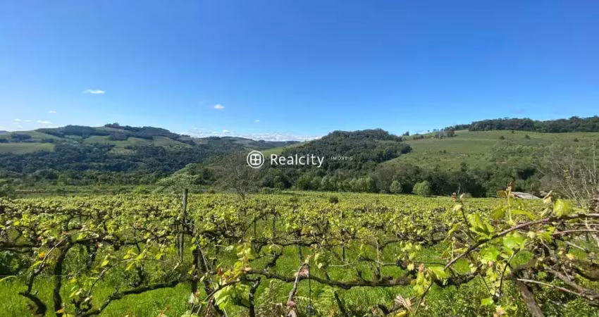 Terreno à venda na Linha Armenio, 5, Zona Rural, Monte Belo do Sul