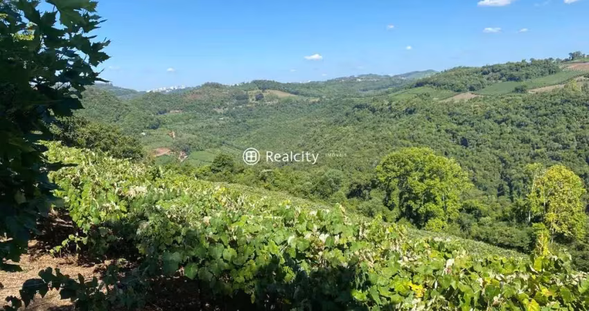 Terreno à venda na Linha Santo Isidoro, 23, Vale dos Vinhedos (Distrito), Bento Gonçalves