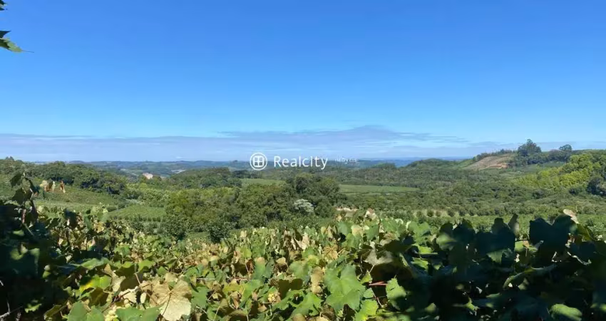 Terreno à venda na Linha 15 da Graciema, 2000, Vale dos Vinhedos (Distrito), Bento Gonçalves