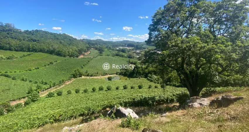 Terreno à venda na Linha Leopoldina, 1, Vale dos Vinhedos (Distrito), Bento Gonçalves