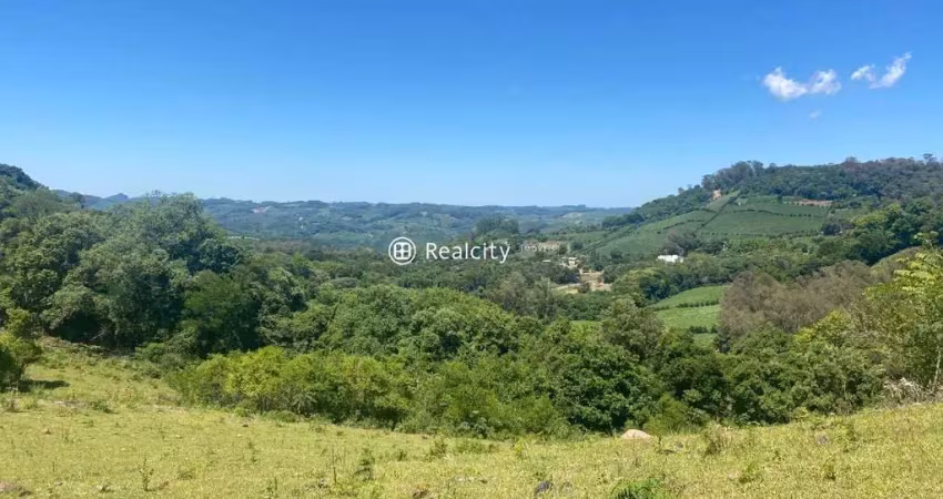 Terreno à venda na Linha Santo Alexandre, 1, Zona Rural, Garibaldi