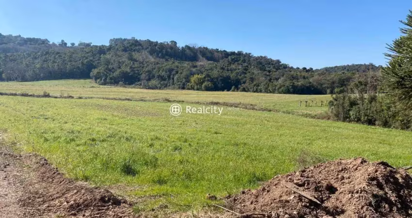Terreno à venda na Estrada 40, 2, Vale dos Vinhedos (Distrito), Bento Gonçalves