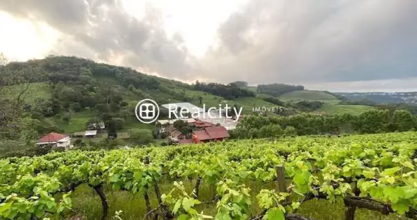 Terreno à venda na Rs 444, 23, Vinosul, Bento Gonçalves