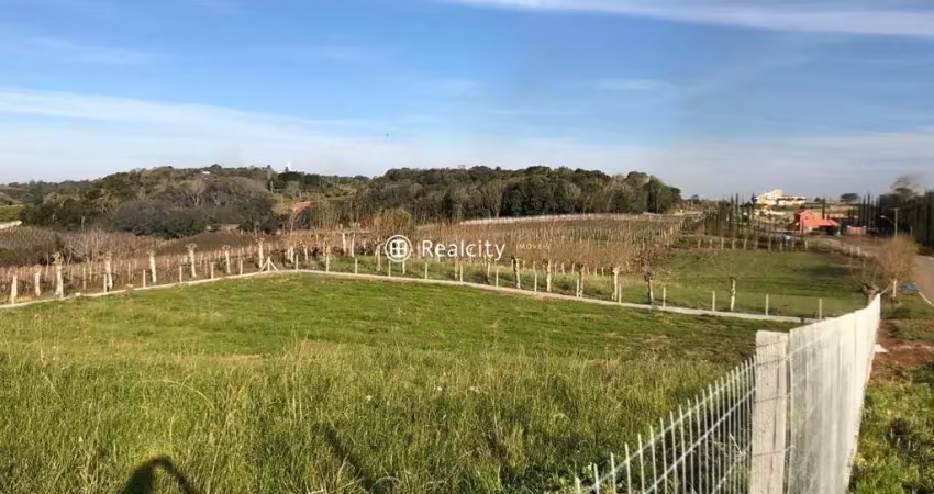 Terreno em condomínio fechado à venda na Alameda, 11, Vale dos Vinhedos (Distrito), Bento Gonçalves