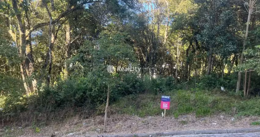 Terreno em condomínio fechado à venda na Ferdinando Grasselli, 1, Borgo, Bento Gonçalves