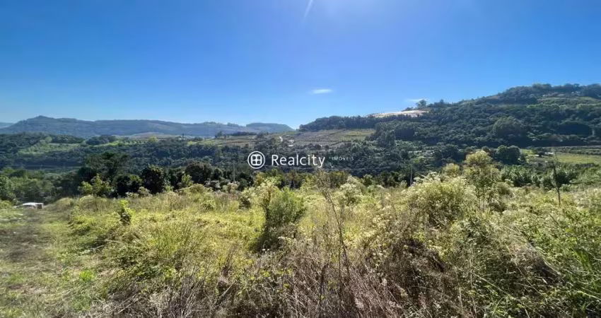 Terreno à venda na Km 300, 1, Faria Lemos (Distrito), Bento Gonçalves