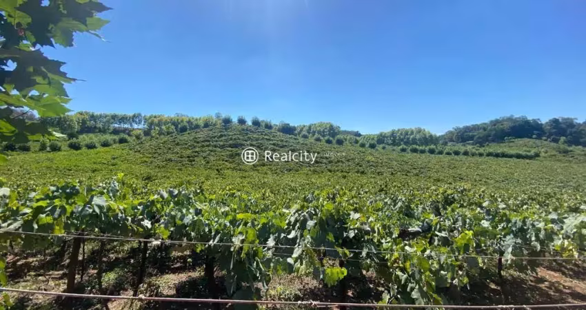 Terreno à venda na 444, 13, Vale dos Vinhedos (Distrito), Bento Gonçalves