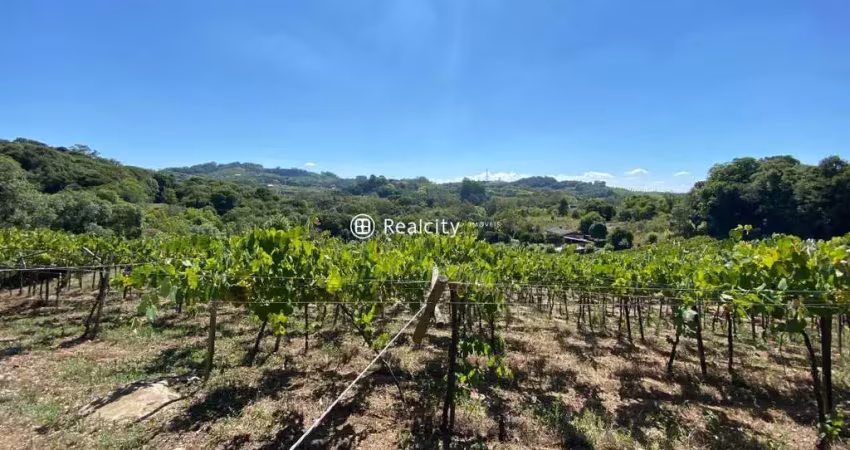 Terreno à venda na Tentro, S/n, 2, Vale dos Vinhedos (Distrito), Bento Gonçalves