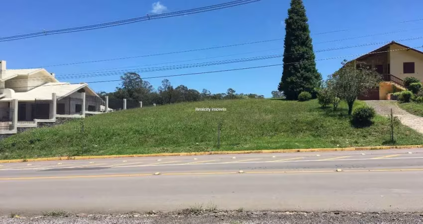 Terreno em condomínio fechado à venda na Rua Buarque de Macedo, 1, São Paulo, Carlos Barbosa