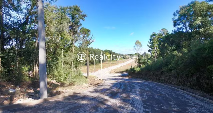 Terreno à venda na Rua Joao Goulart, 62, Brasilia, Garibaldi