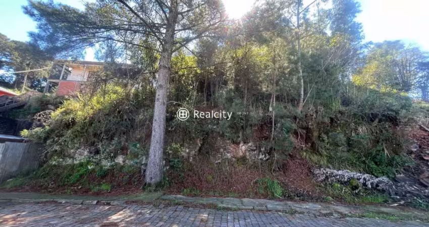 Terreno à venda na João Missagia, 4, São Roque, Bento Gonçalves
