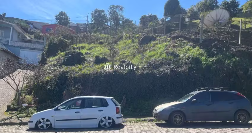 Terreno à venda na João Missagia, 4, São Roque, Bento Gonçalves