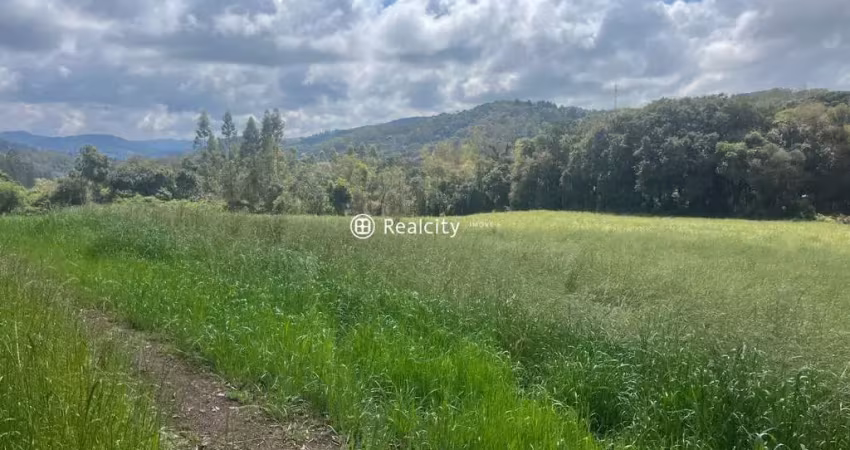 Terreno à venda na Rs-453, Km 18 - Linha Rio Burati, 12, Nova Sardenha (Distrito), Farroupilha