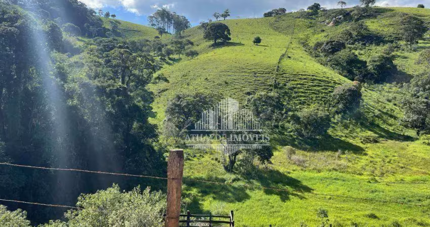 Encantadora área rural à venda em paraisópolis - serra da mantiqueira