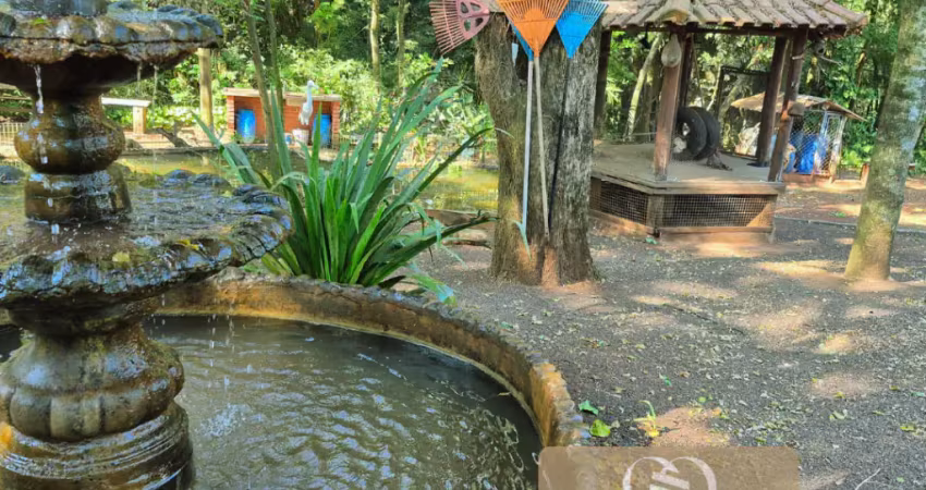 Chácara em maringá, à 11 min. catedral, reserva, córrego limpo, cachoeira