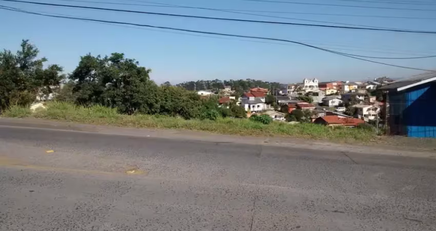 Terreno à venda na Rodovia Sebastião Toledo dos Santos, Mina do Mato, Criciúma