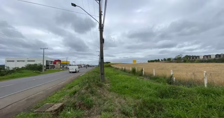 Terreno são defende, criciúma/sc - av. universitária