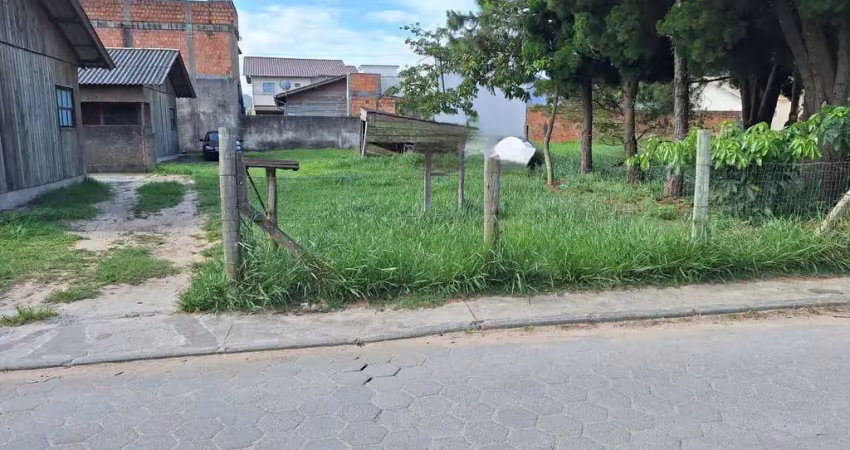Terreno para venda em florianópolis, são joão do rio vermelho