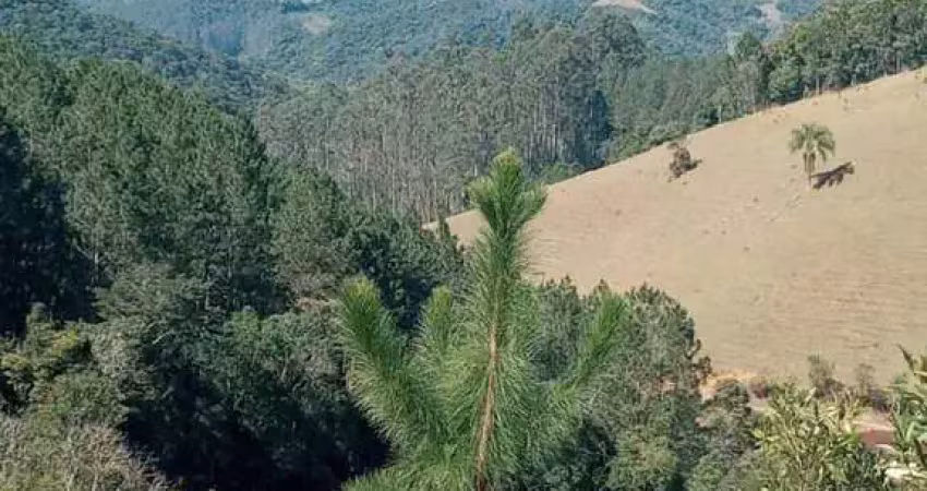 Sítio / chácara para venda em águas mornas, rio novo