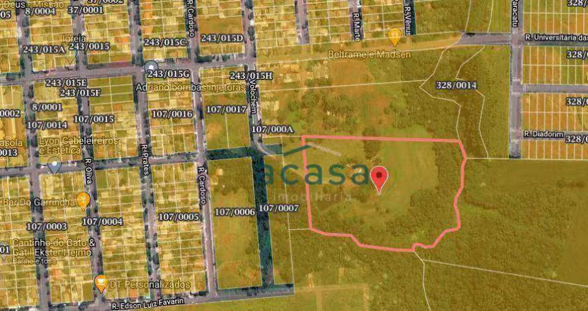 Chácara com 4 dormitórios à venda, 39921 m² - universitário - cascavel/pr