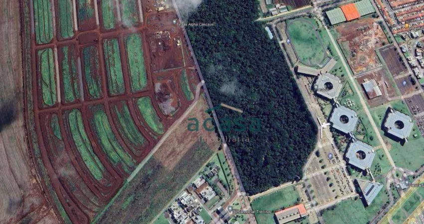 Terreno à venda, 337 m² por R$ 340.000,00 - ALPHAVILLE - Cascavel/PR