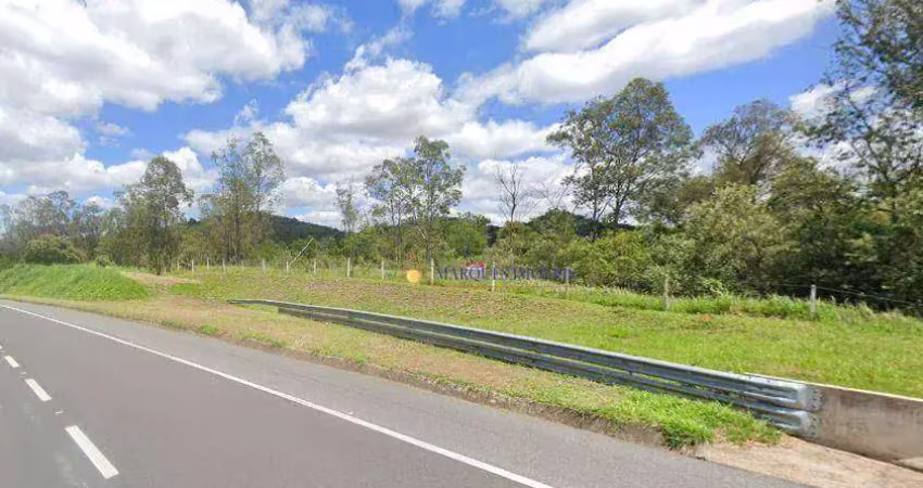 Área à venda, 7273 m² por r$ 3.636.570 - cestarolli - louveira/sp