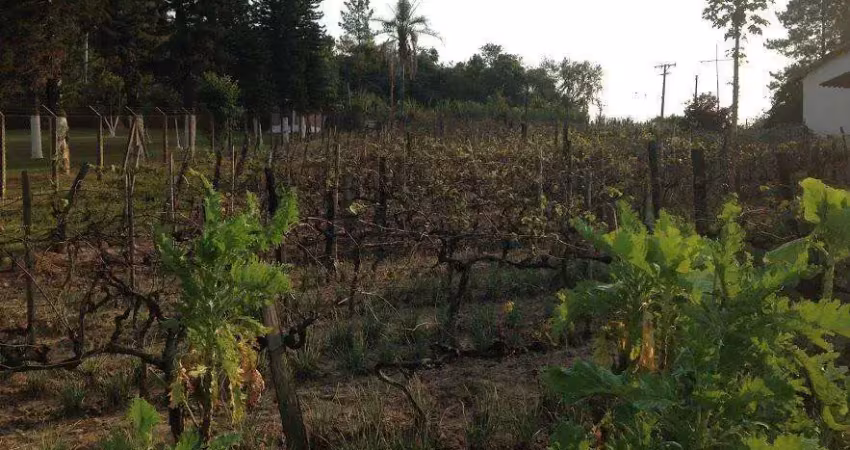 Área à venda, 13800 m² por r$ 4.000.000,00 - rainha - louveira/sp