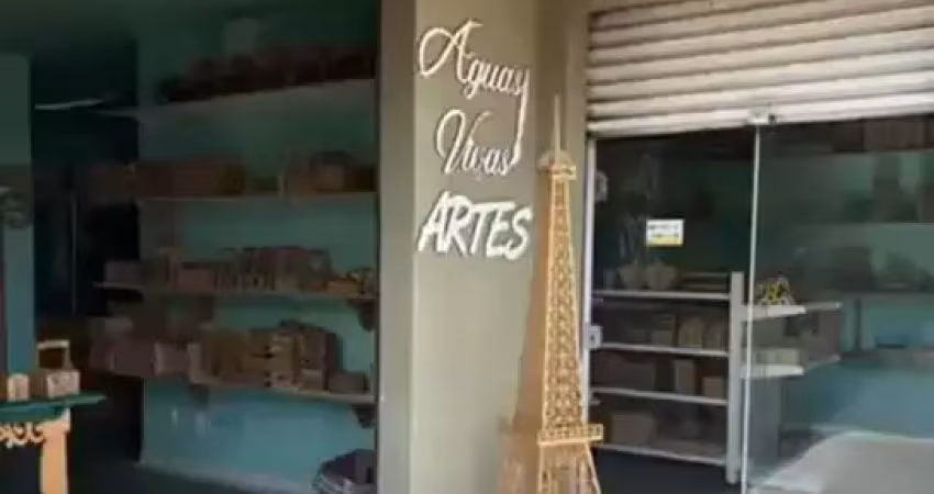 Loja de artesanato bem localizada e com potencial de lucro!
