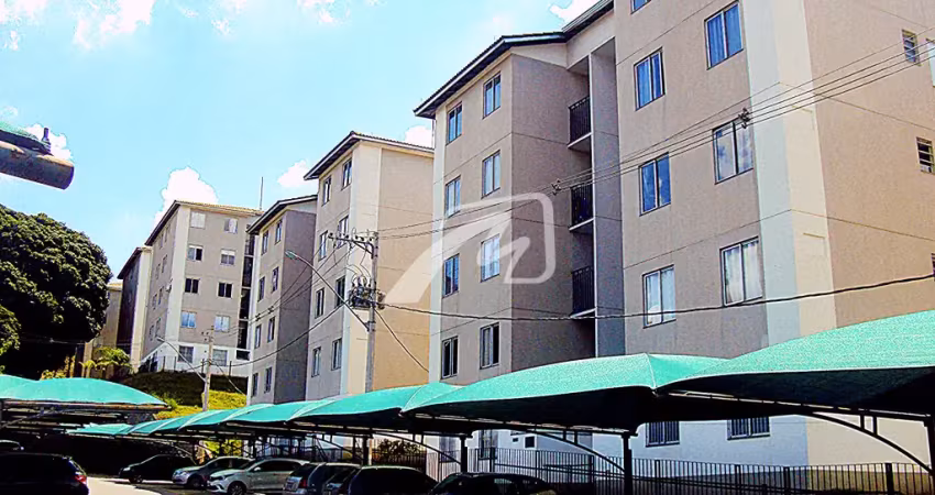 Apartamento com 2 quartos à venda na Vila Oeste, Belo Horizonte 
