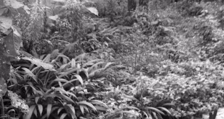 Terreno à venda na Rua Alípio Teixeira de Moraes, 179, Barreirinha, Curitiba